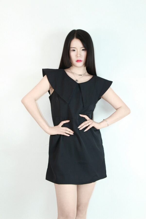 French - style Short Dress