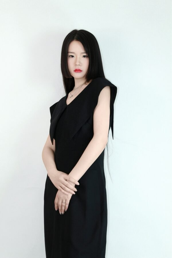 Hepburn - style Dress - Image 3