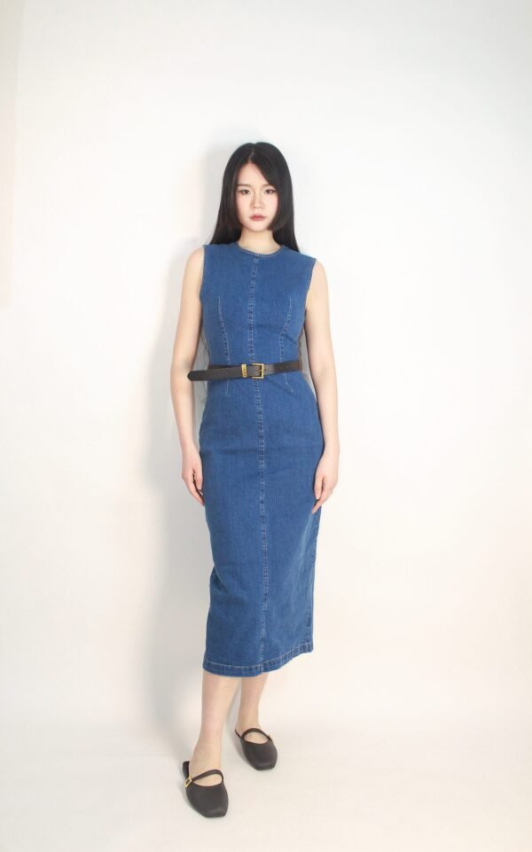 Stretch Denim Dress