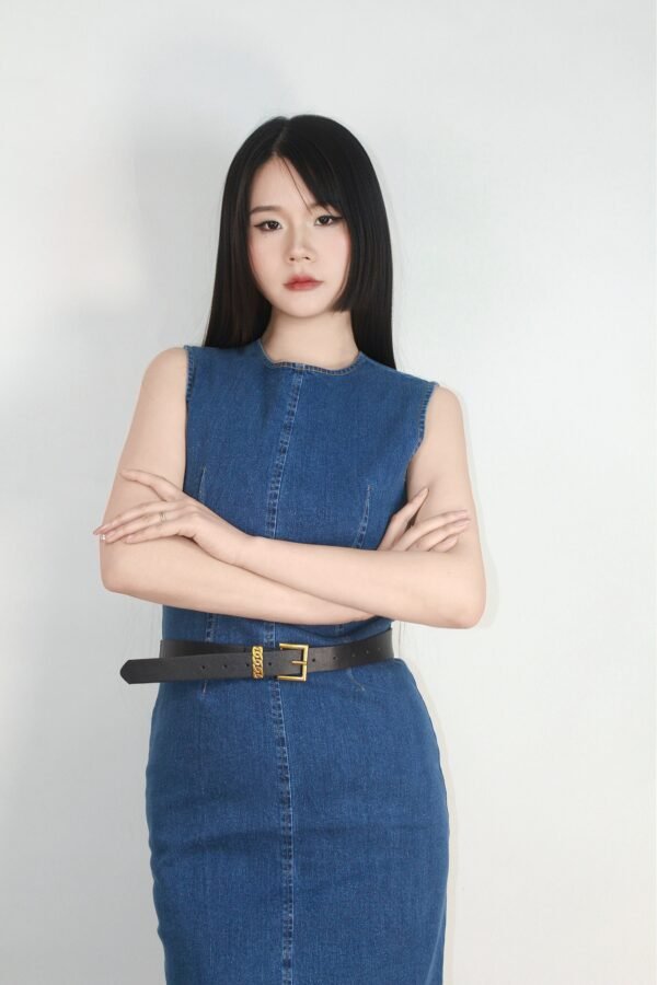 Stretch Denim Dress - Image 5